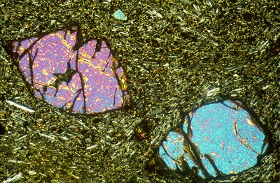 Thin section with two large olivine crystals